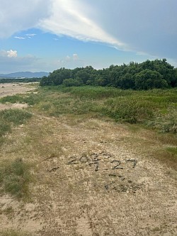 #流れ橋