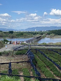 ＃流れ橋　＃京都流れ橋　＃京都観光